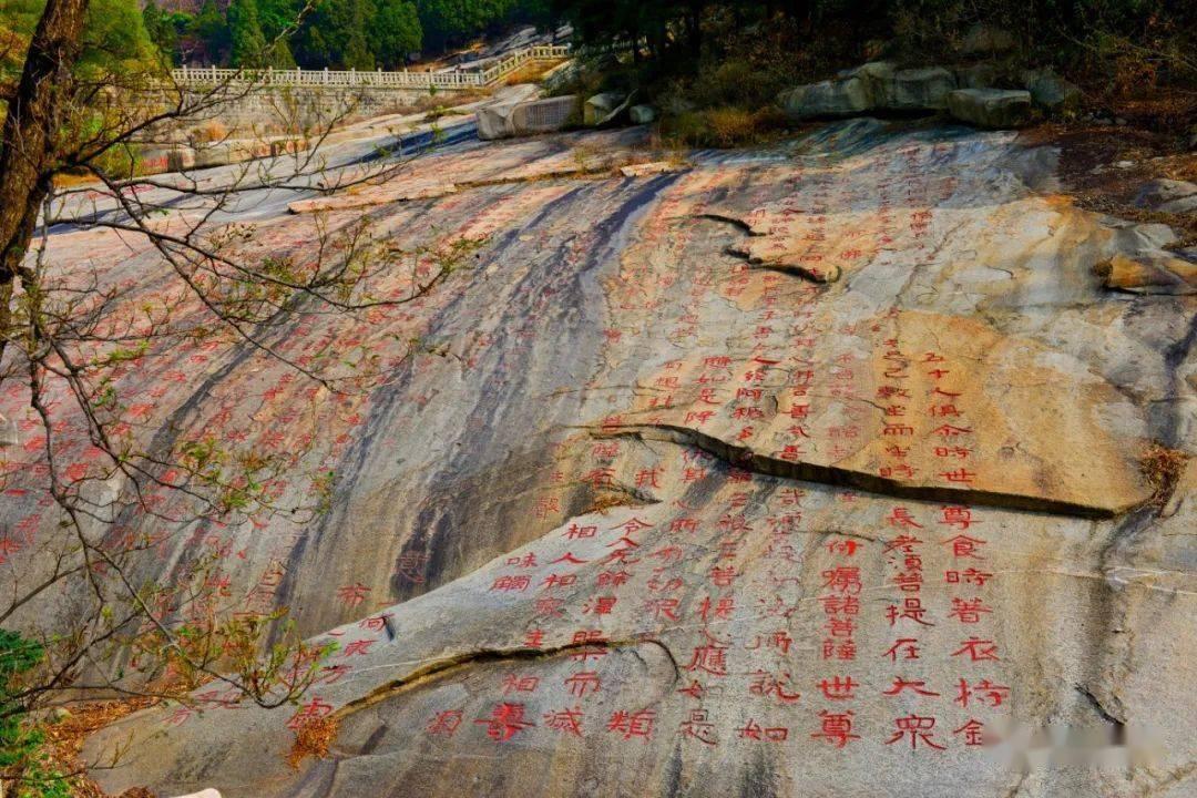 冒险的布瑞恩