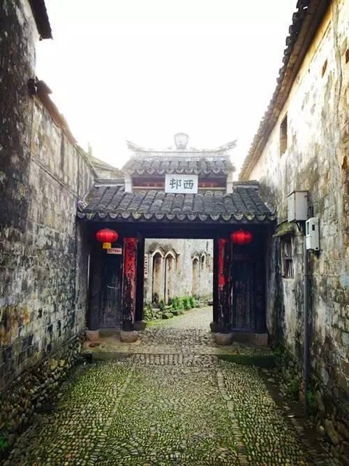 虫虫助手下载