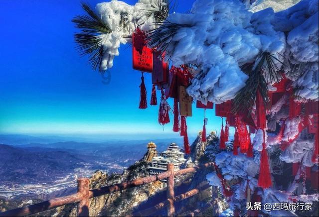穿越遗弃的森林